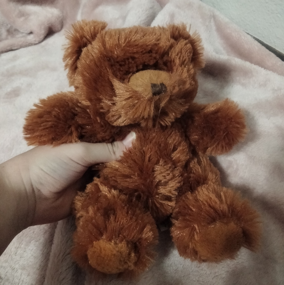 Teddy bear